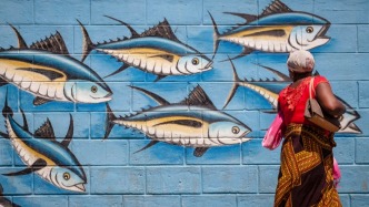 世界金槍魚日：探究海中“熱血快艇”的秘密